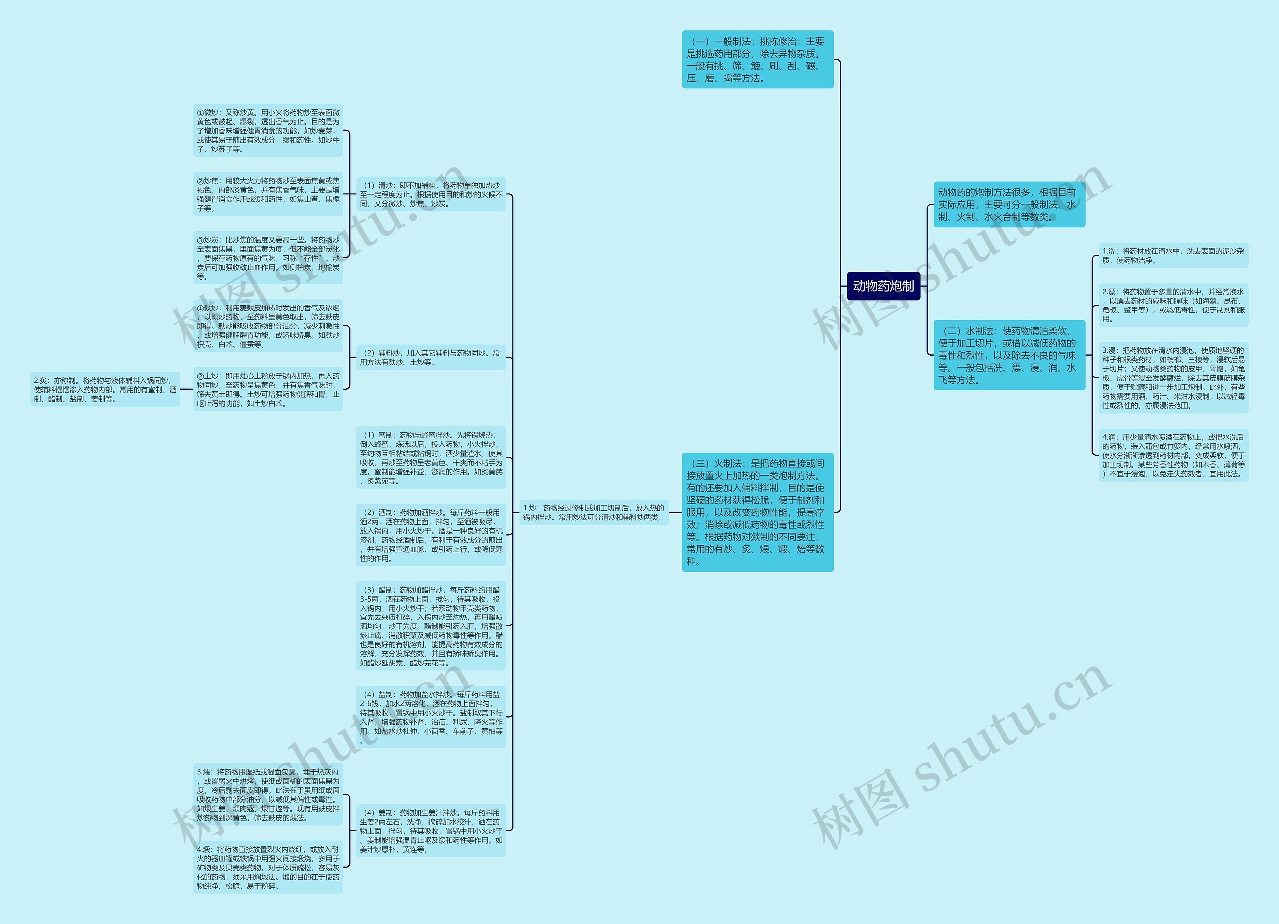 动物药炮制思维导图