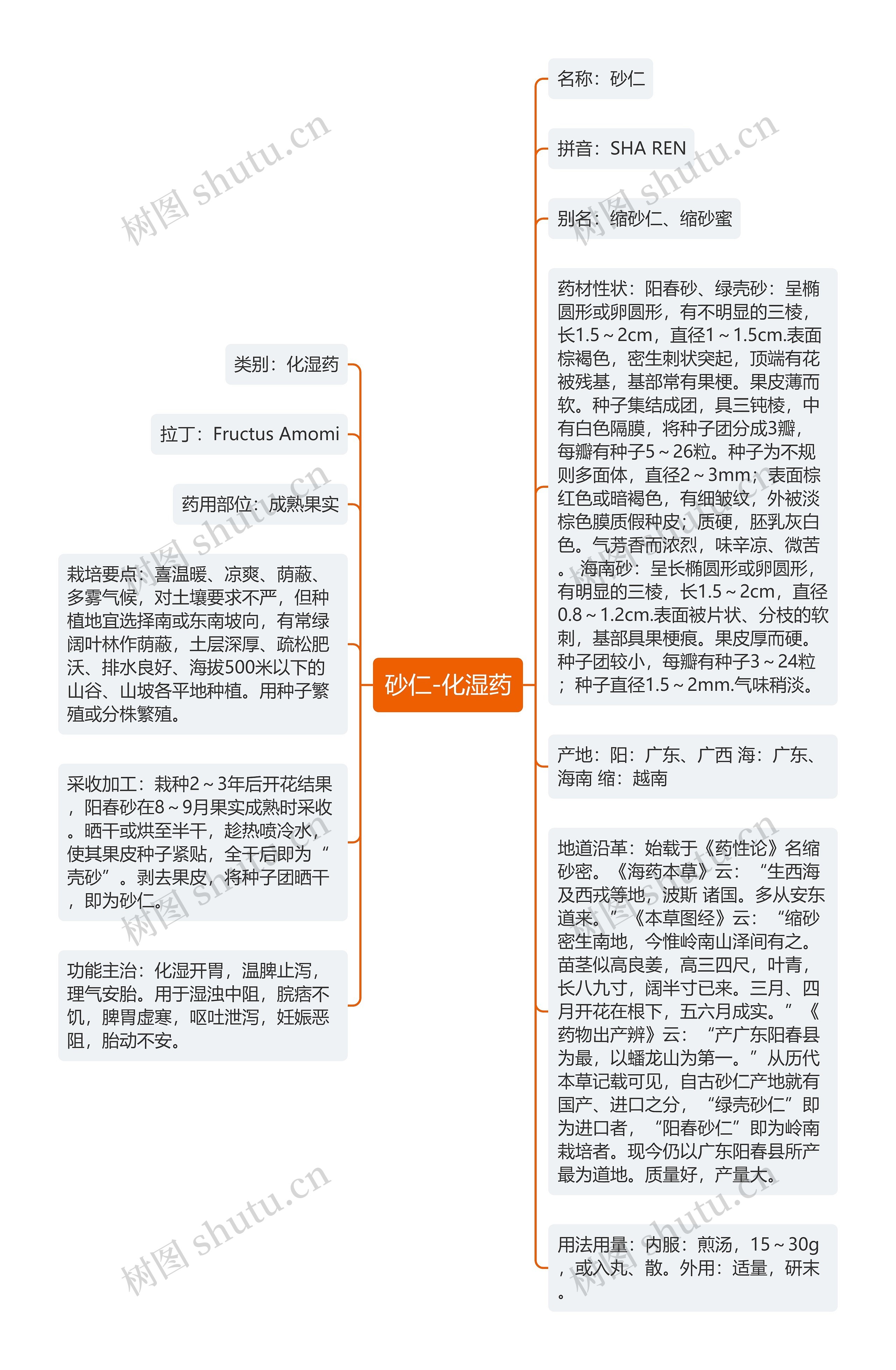 砂仁-化湿药思维导图