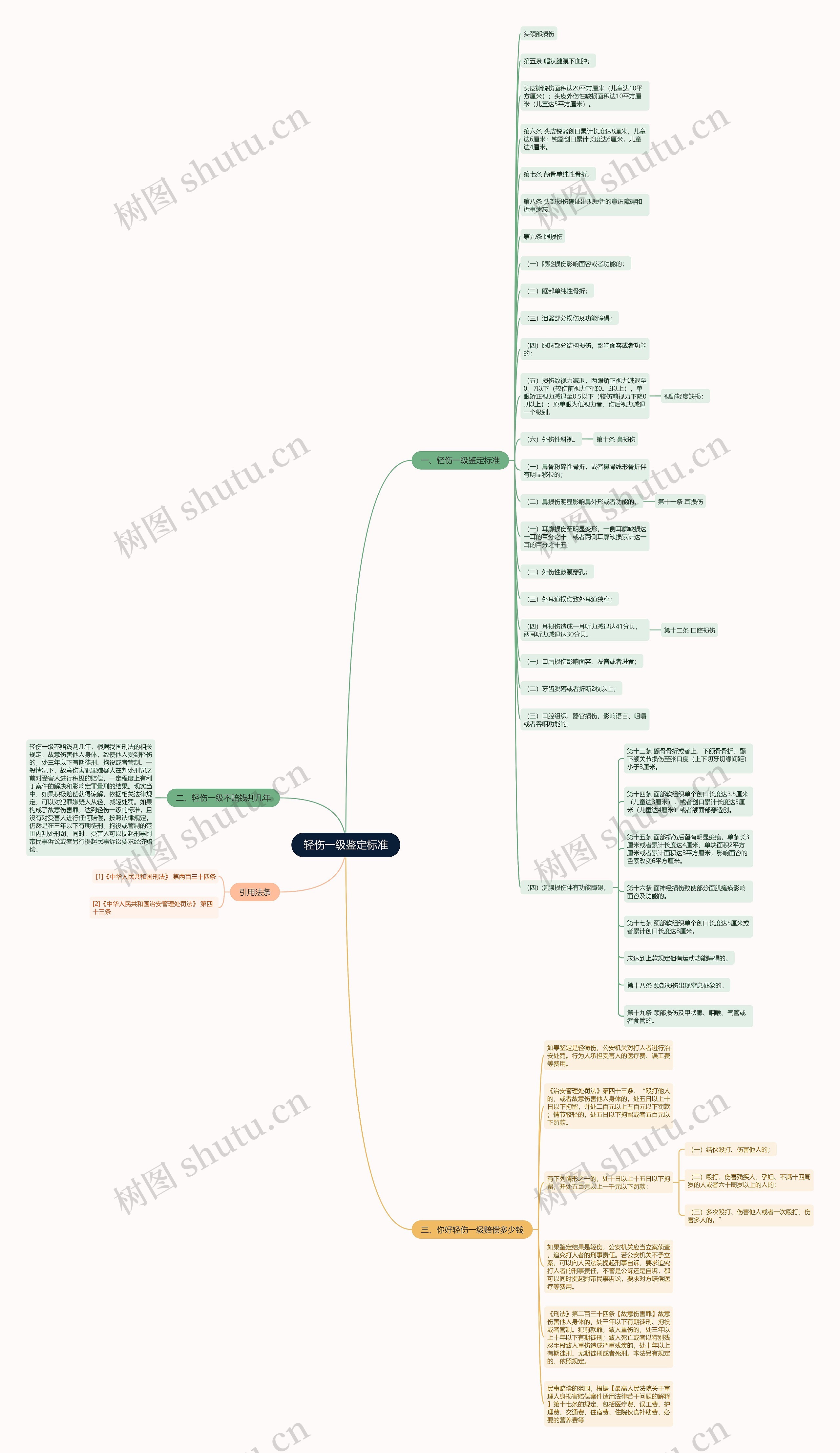 轻伤一级鉴定标准思维导图