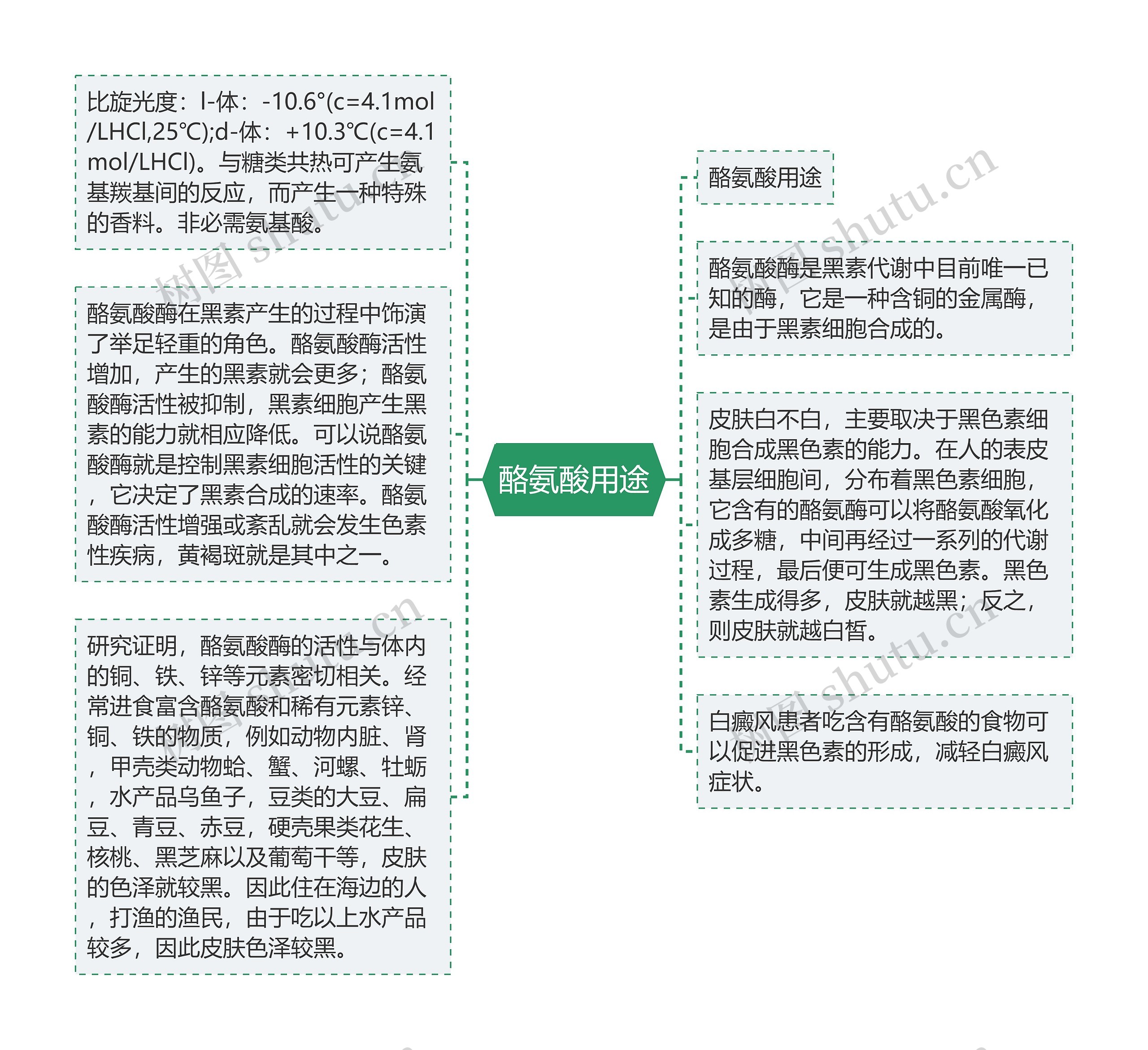 酪氨酸用途思维导图