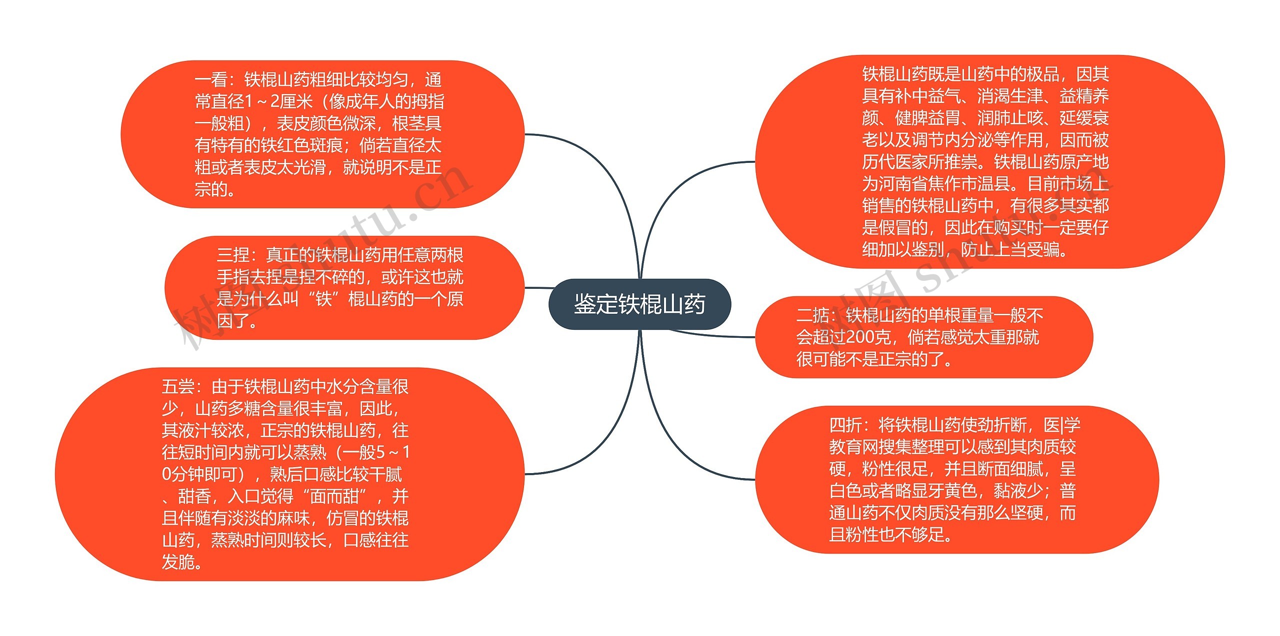 鉴定铁棍山药 鉴定铁棍山药