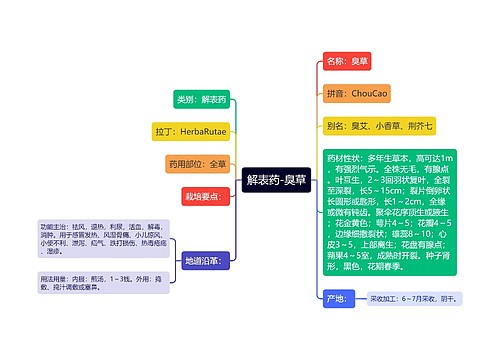 解表药-臭草