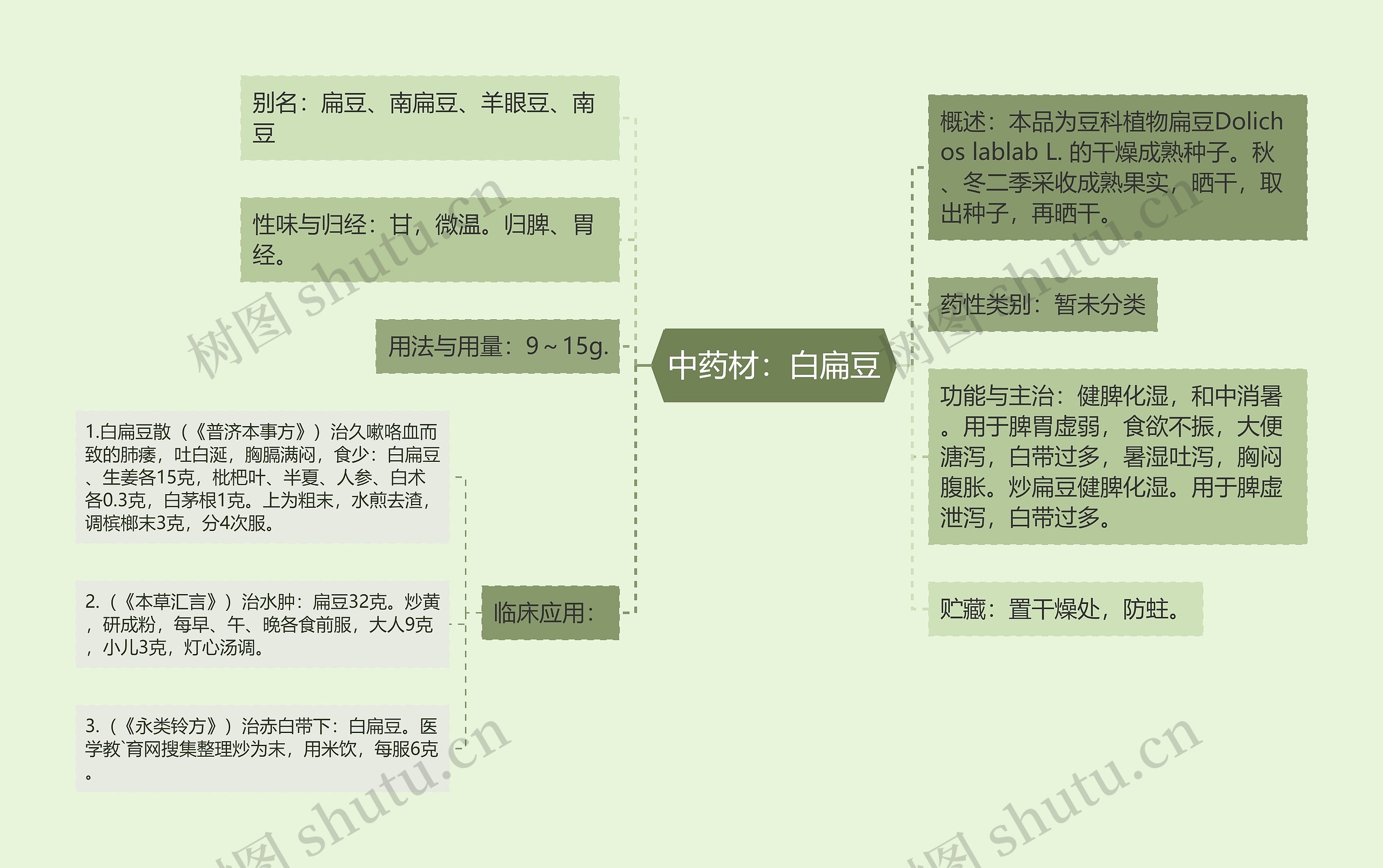 中药材：白扁豆思维导图