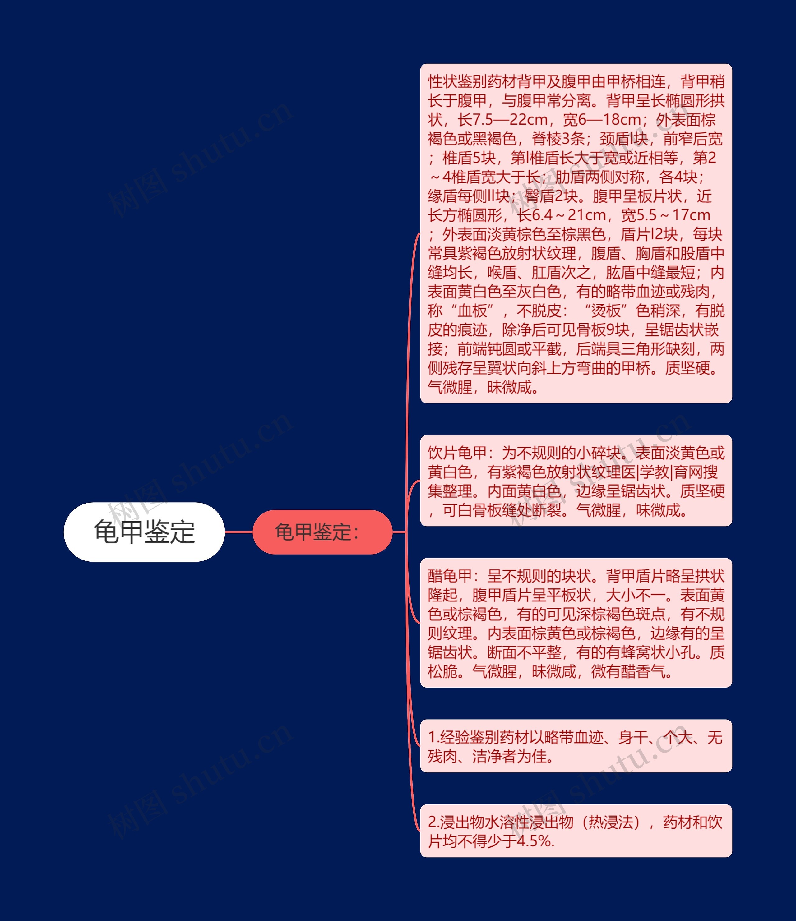 龟甲鉴定思维导图