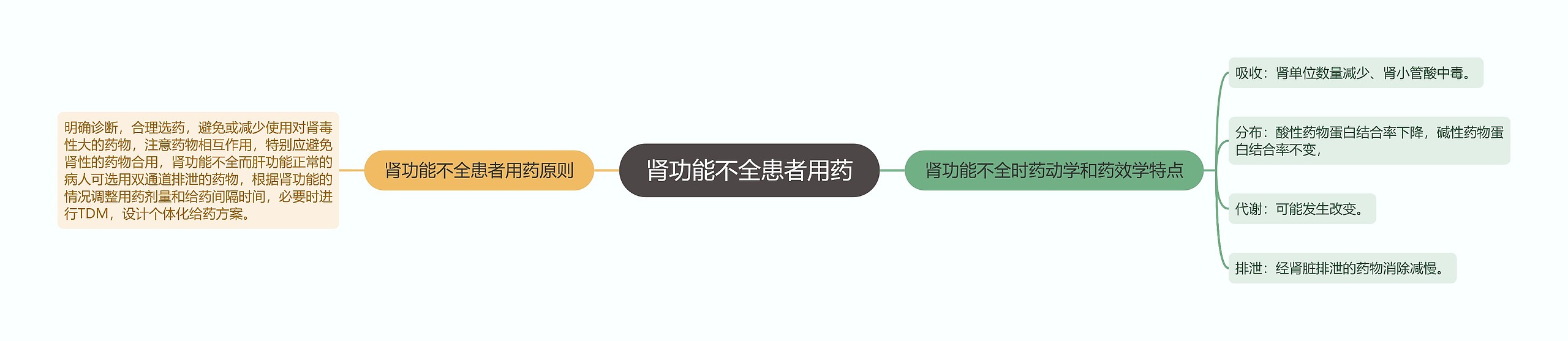 肾功能不全患者用药思维导图