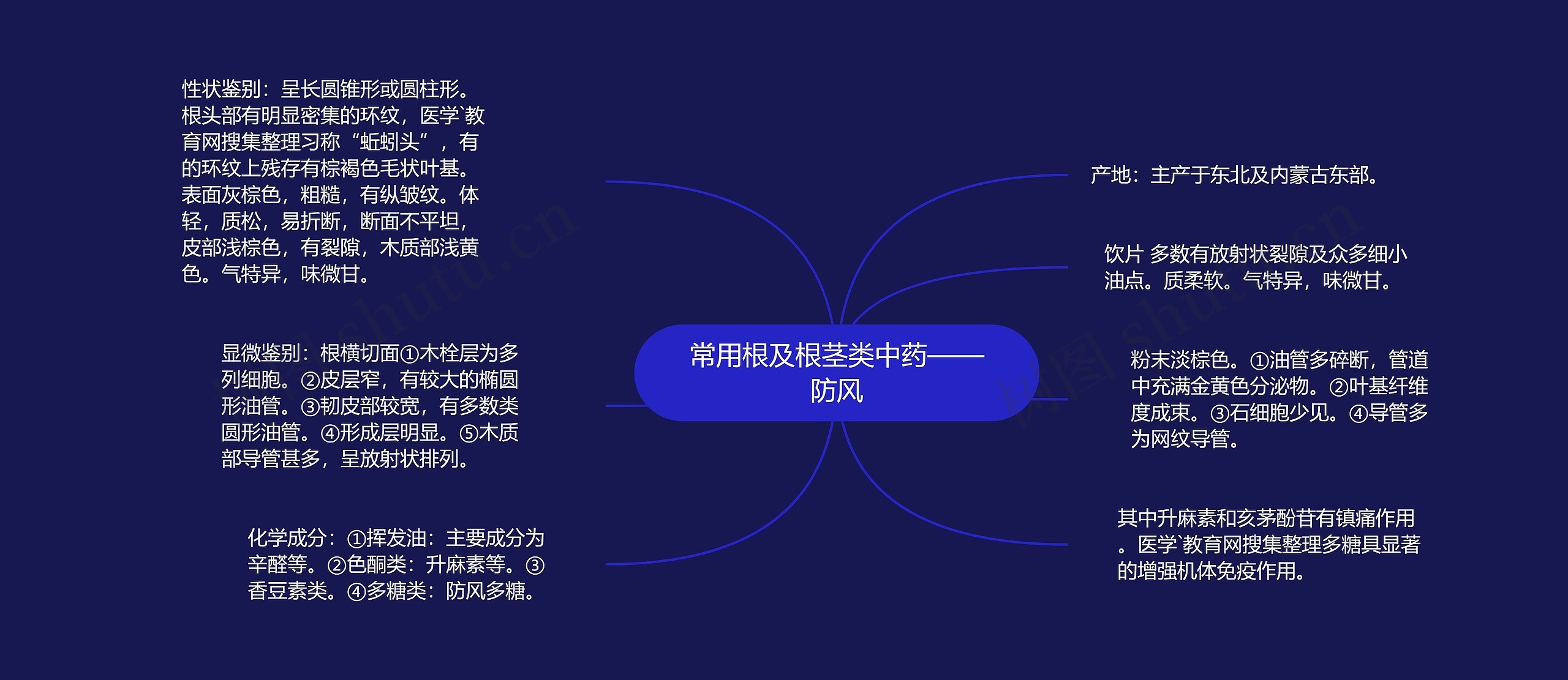 常用根及根茎类中药——防风思维导图