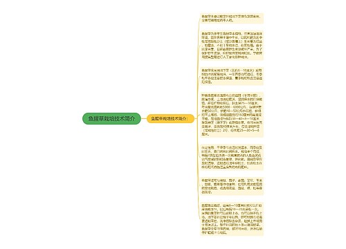 鱼腥草栽培技术简介