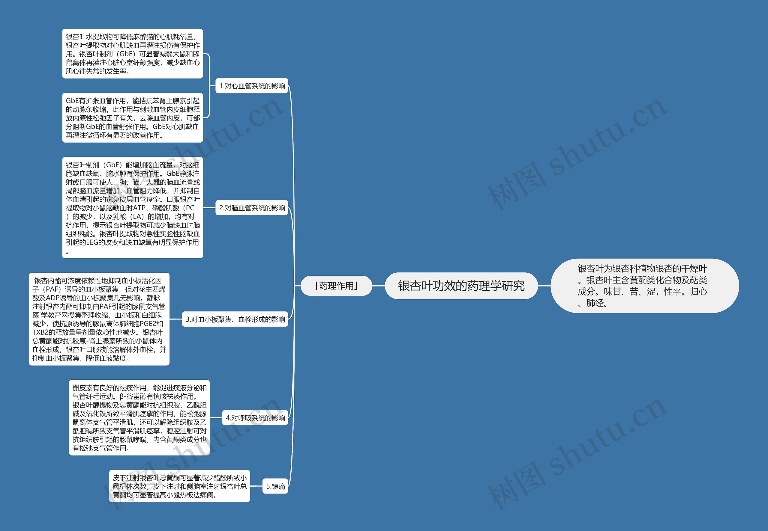 银杏叶功效的药理学研究思维导图