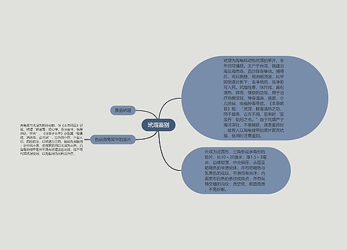 玳瑁鉴别