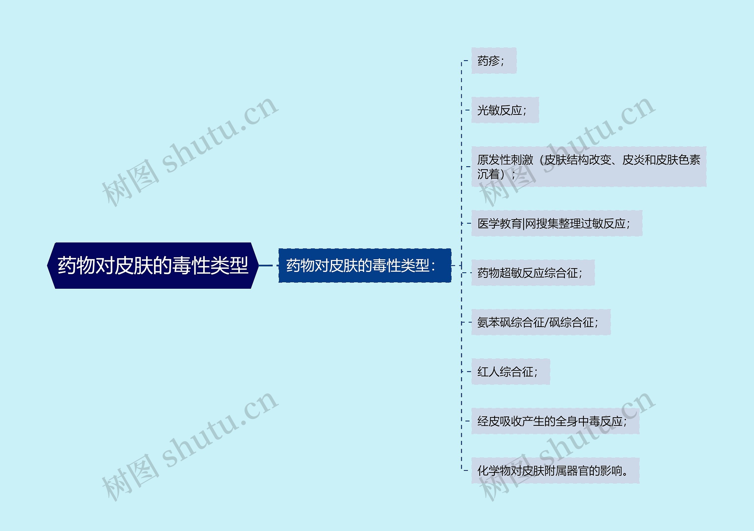 药物对皮肤的毒性类型思维导图