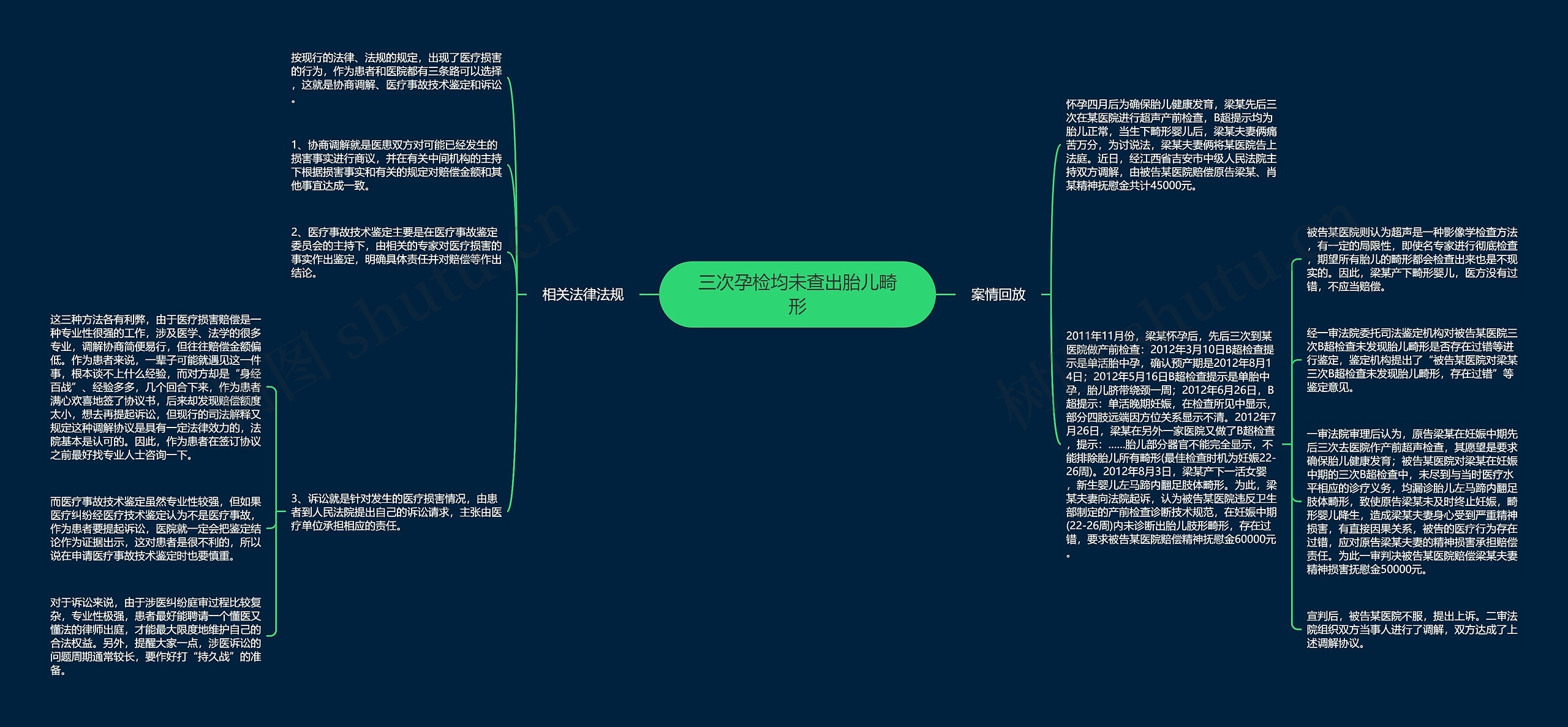 三次孕检均未查出胎儿畸形思维导图