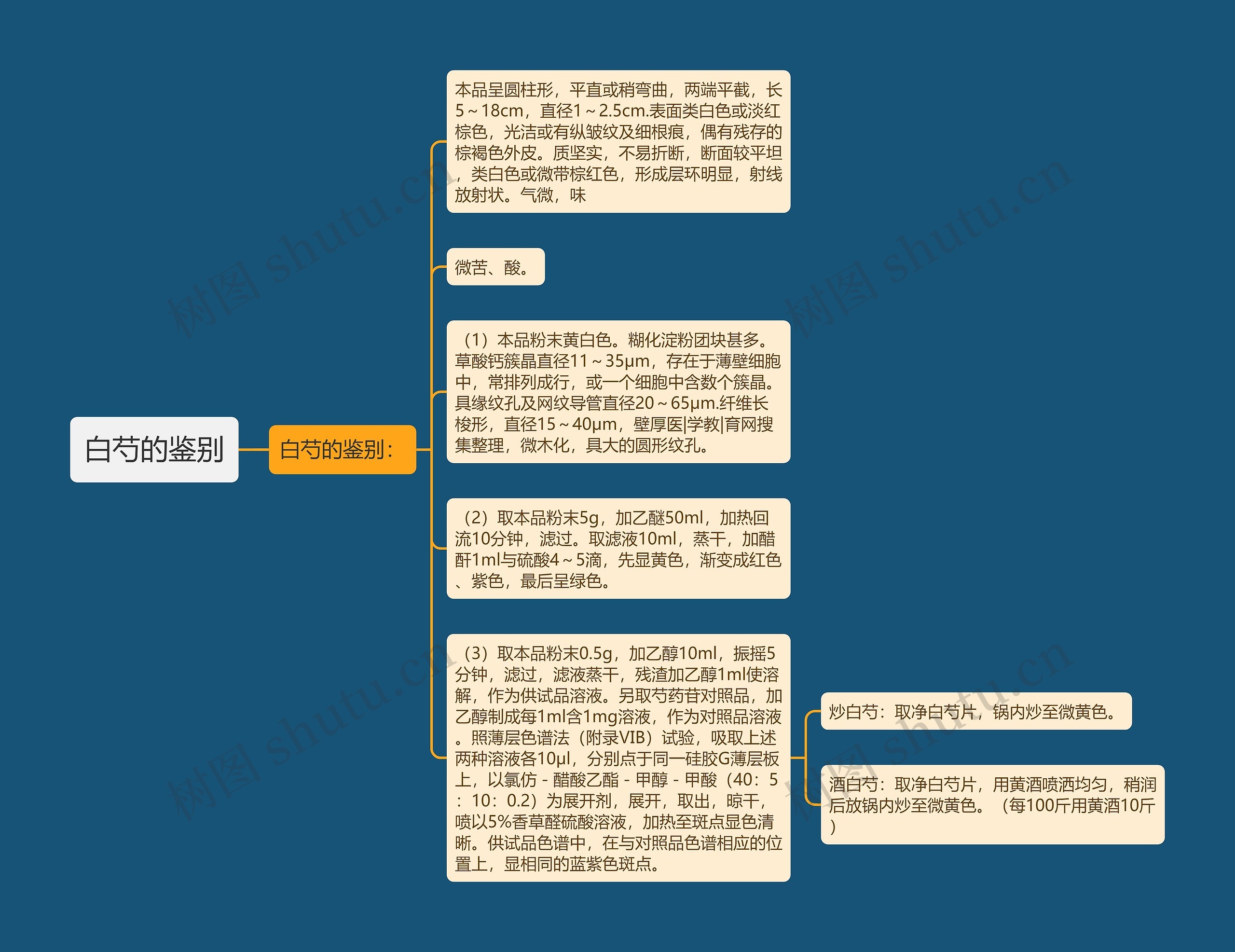 白芍的鉴别思维导图