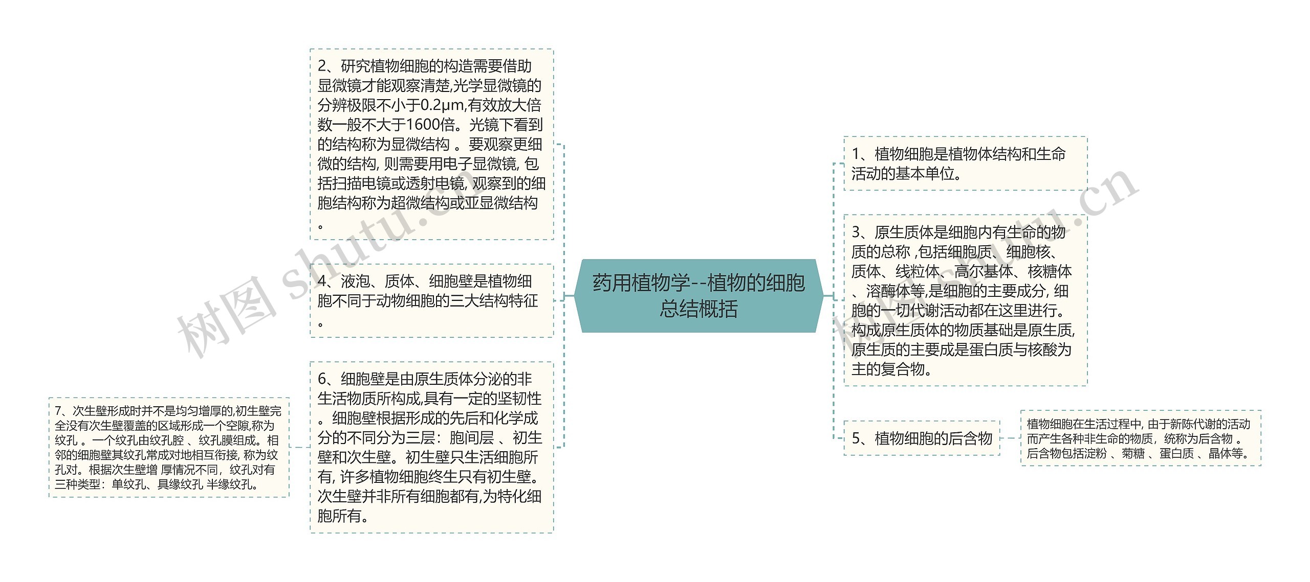 药用植物学--植物的细胞总结概括