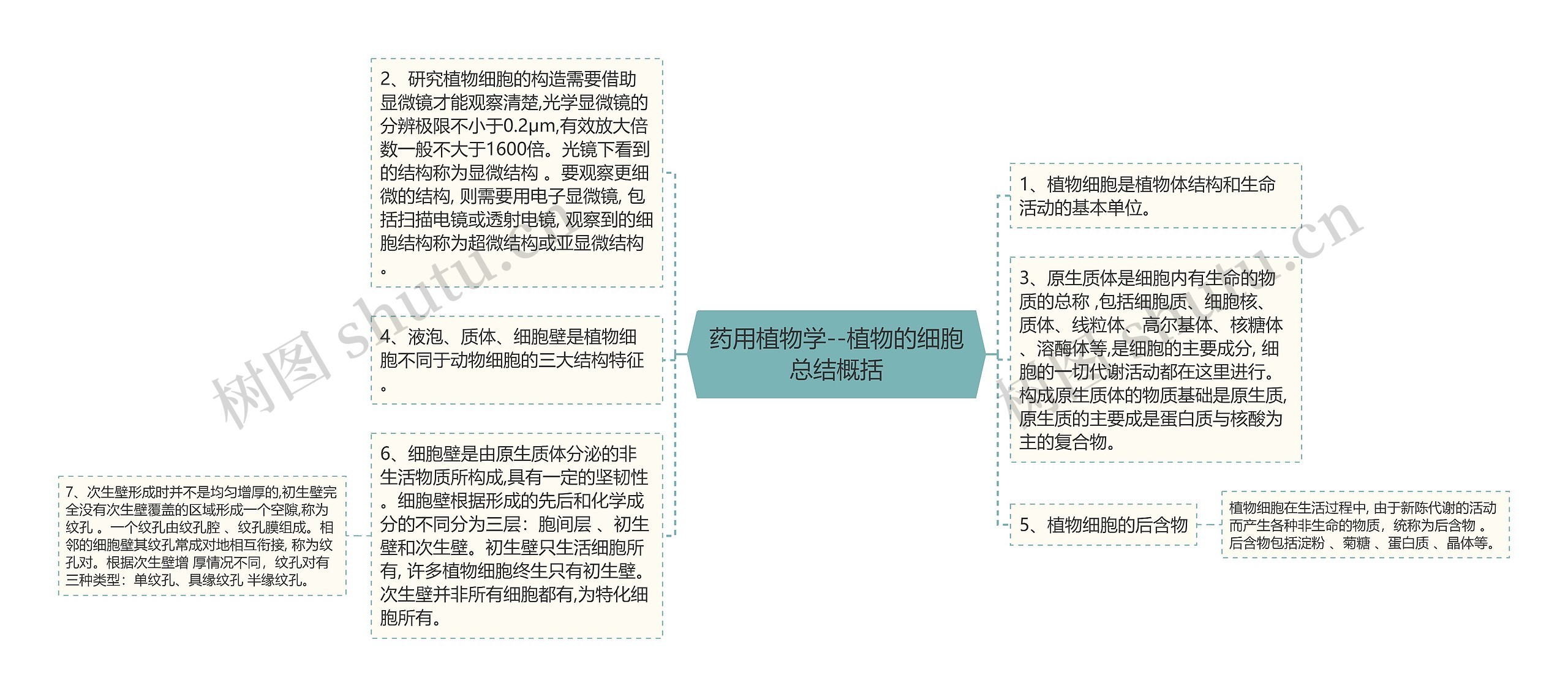 药用植物学--植物的细胞总结概括 药用植物学--植物的细胞总结概括