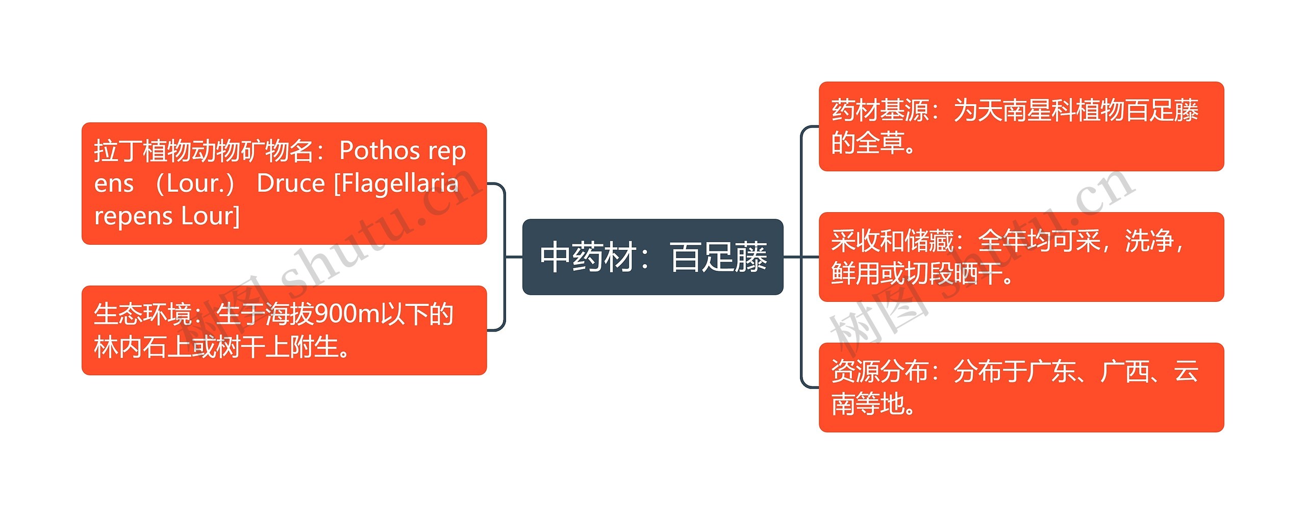 中药材：百足藤思维导图