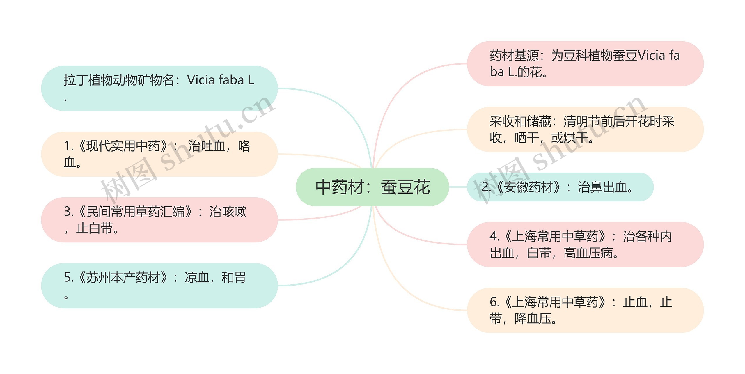 中药材：蚕豆花思维导图