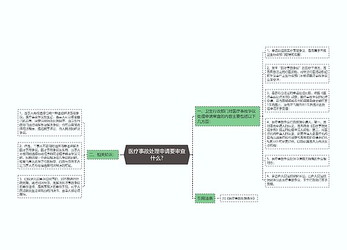 医疗事故处理申请要审查什么?