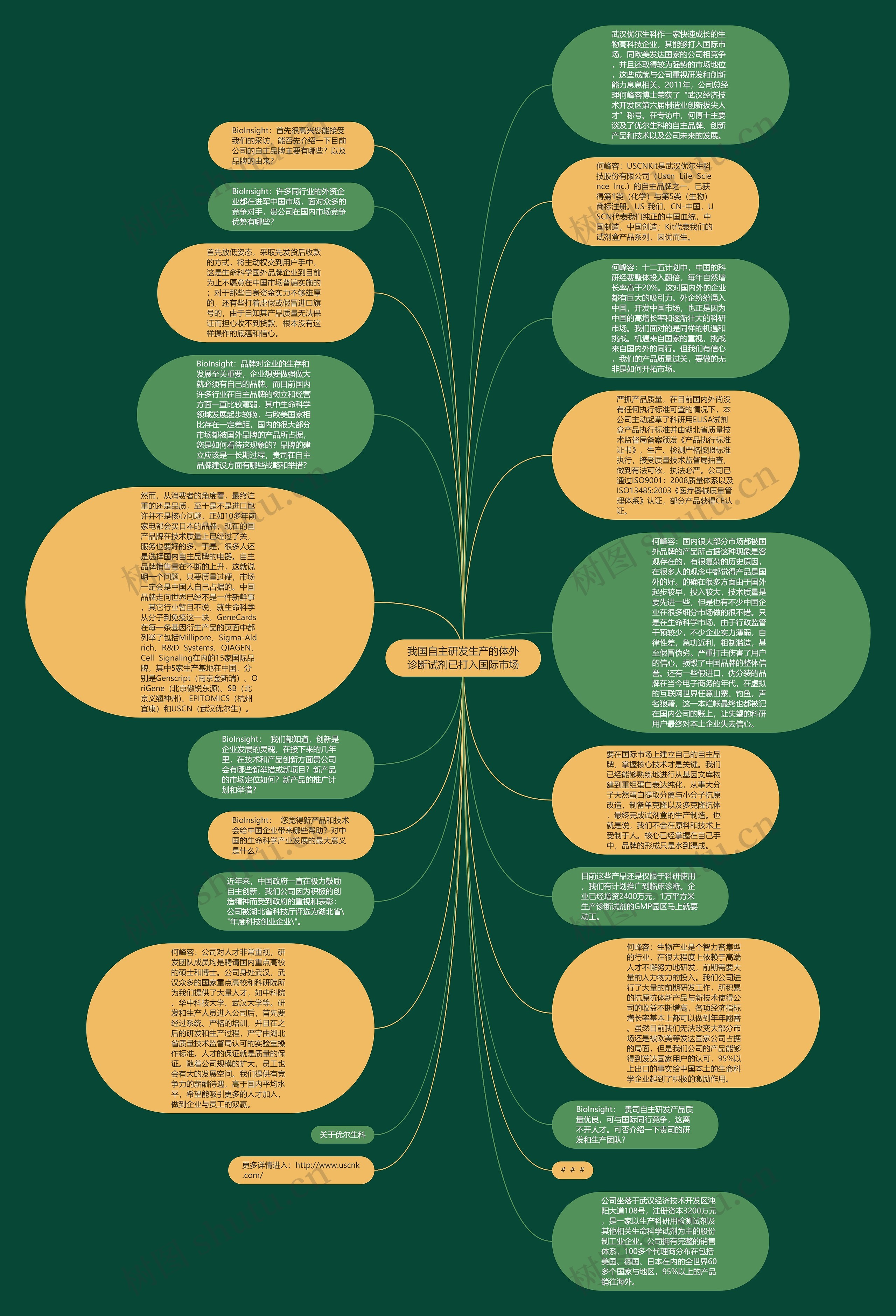 我国自主研发生产的体外诊断试剂已打入国际市场思维导图