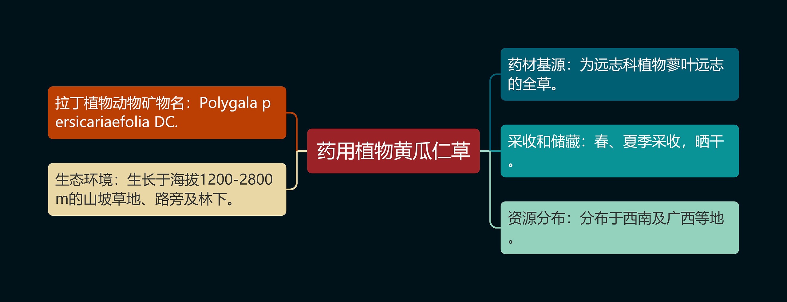 药用植物黄瓜仁草思维导图