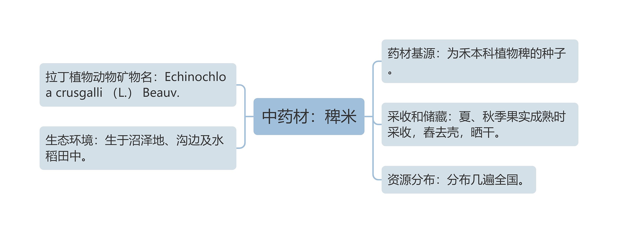 中药材：稗米思维导图