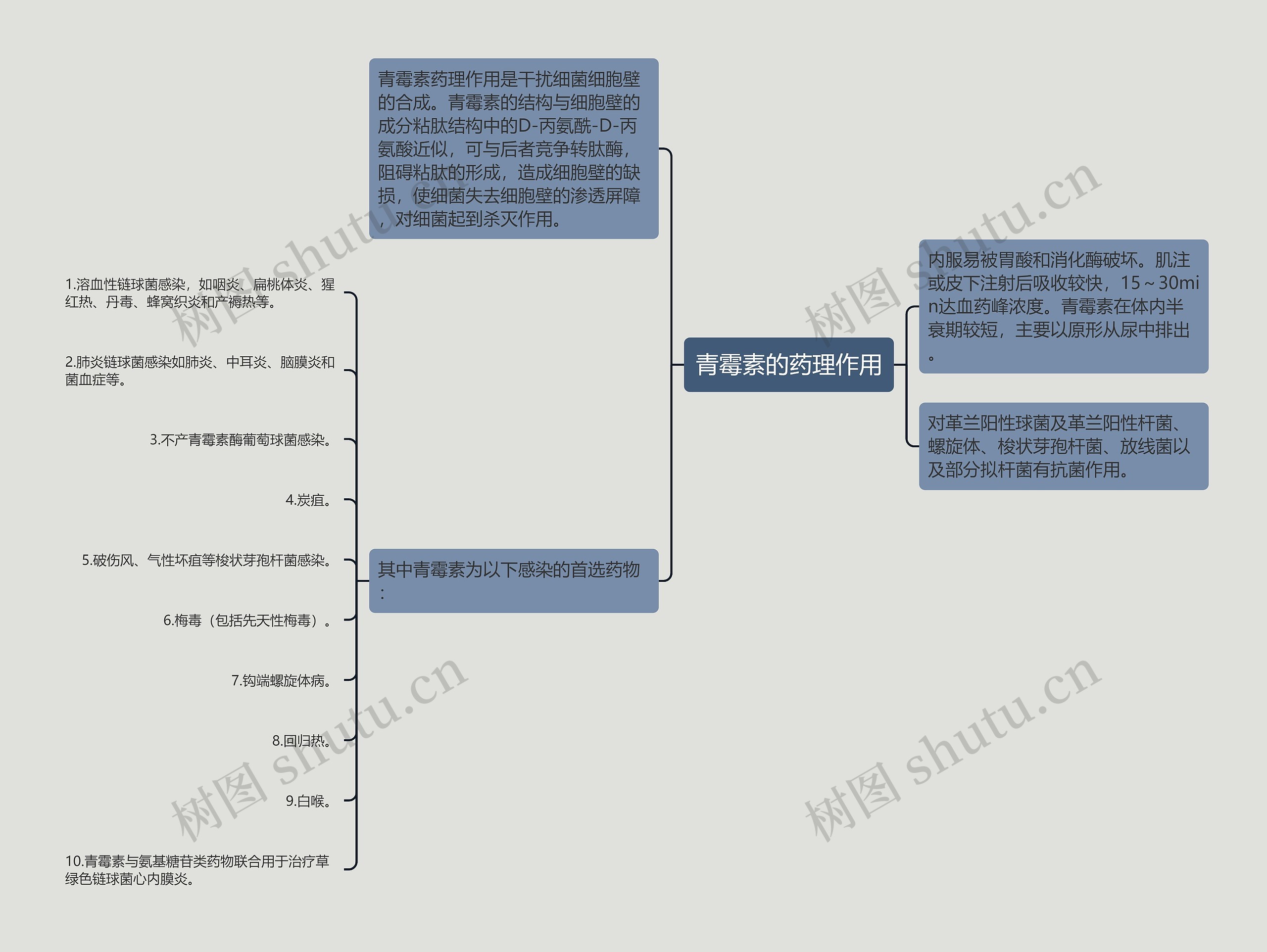 青霉素的药理作用思维导图