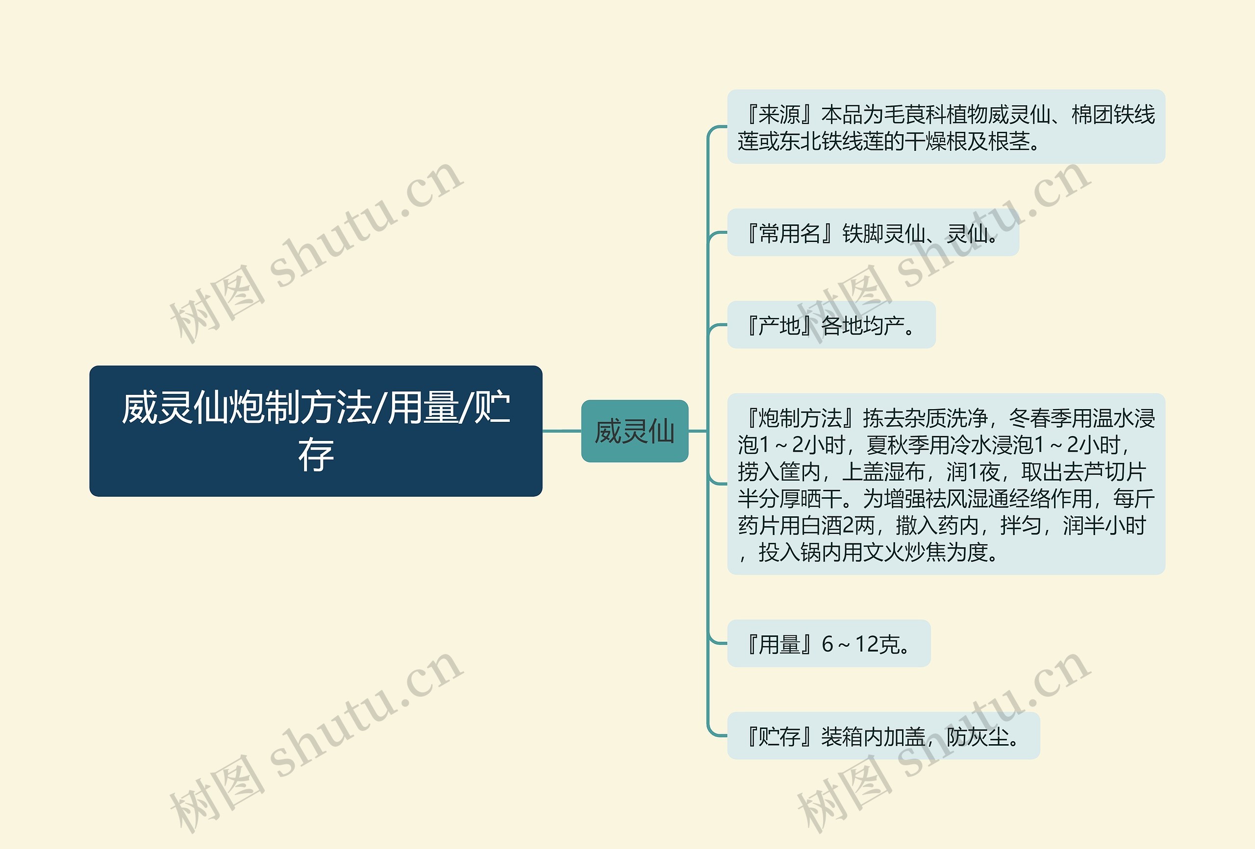 威灵仙炮制方法/用量/贮存