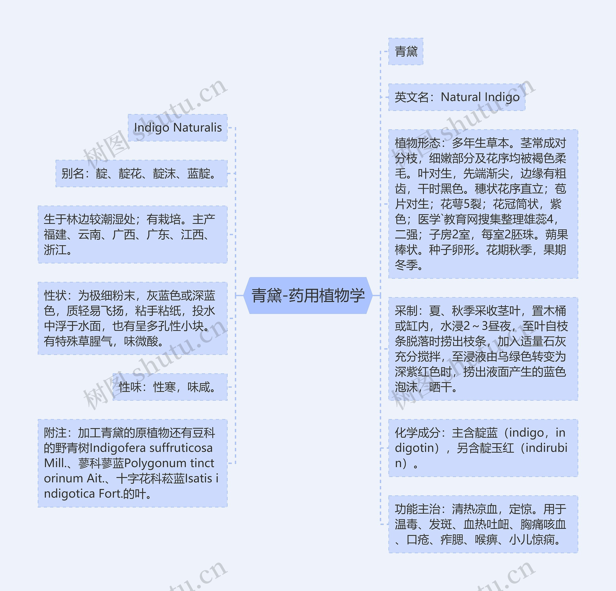 青黛-药用植物学 青黛-药用植物学