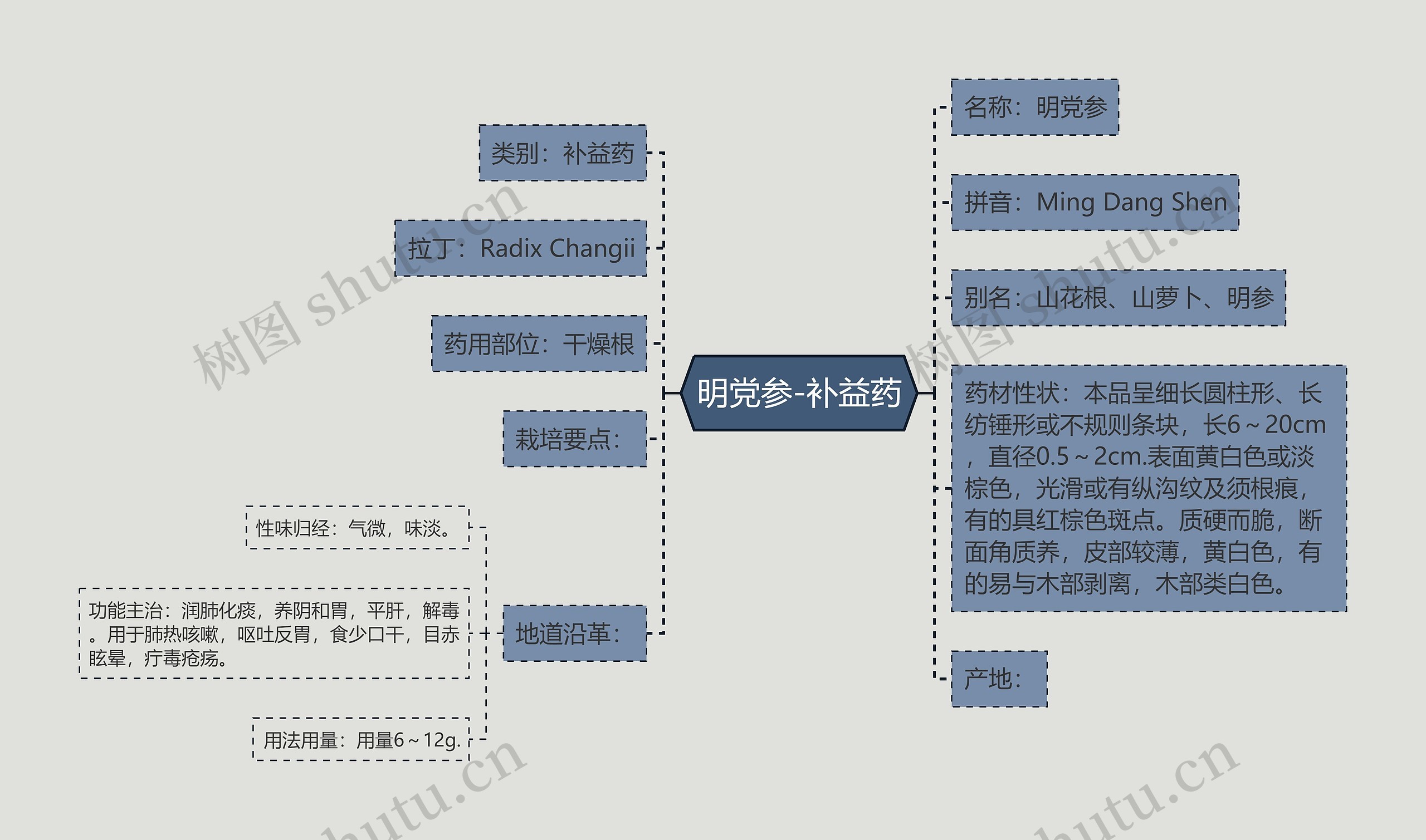 明党参-补益药 明党参-补益药