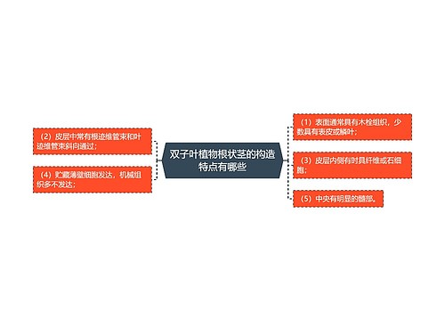 双子叶植物根状茎的构造特点有哪些