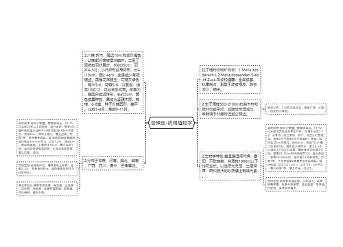 苦楝皮-药用植物学思维导图