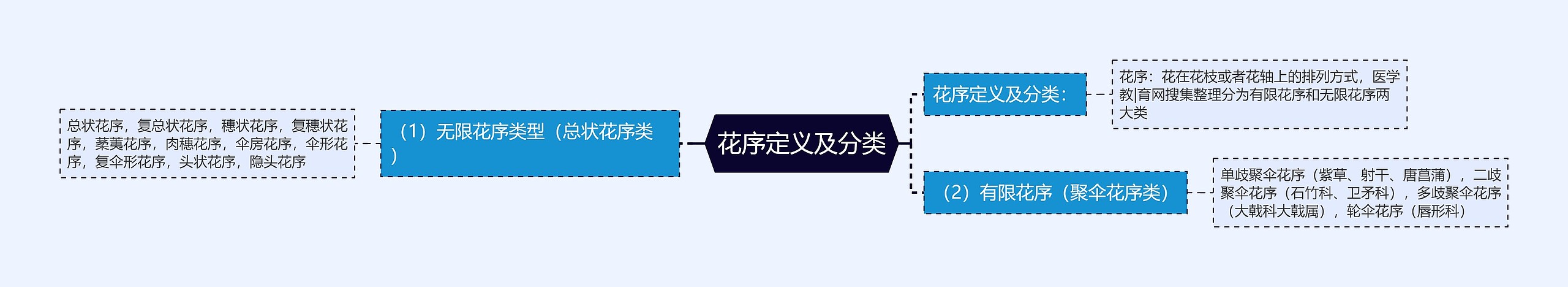 花序定义及分类