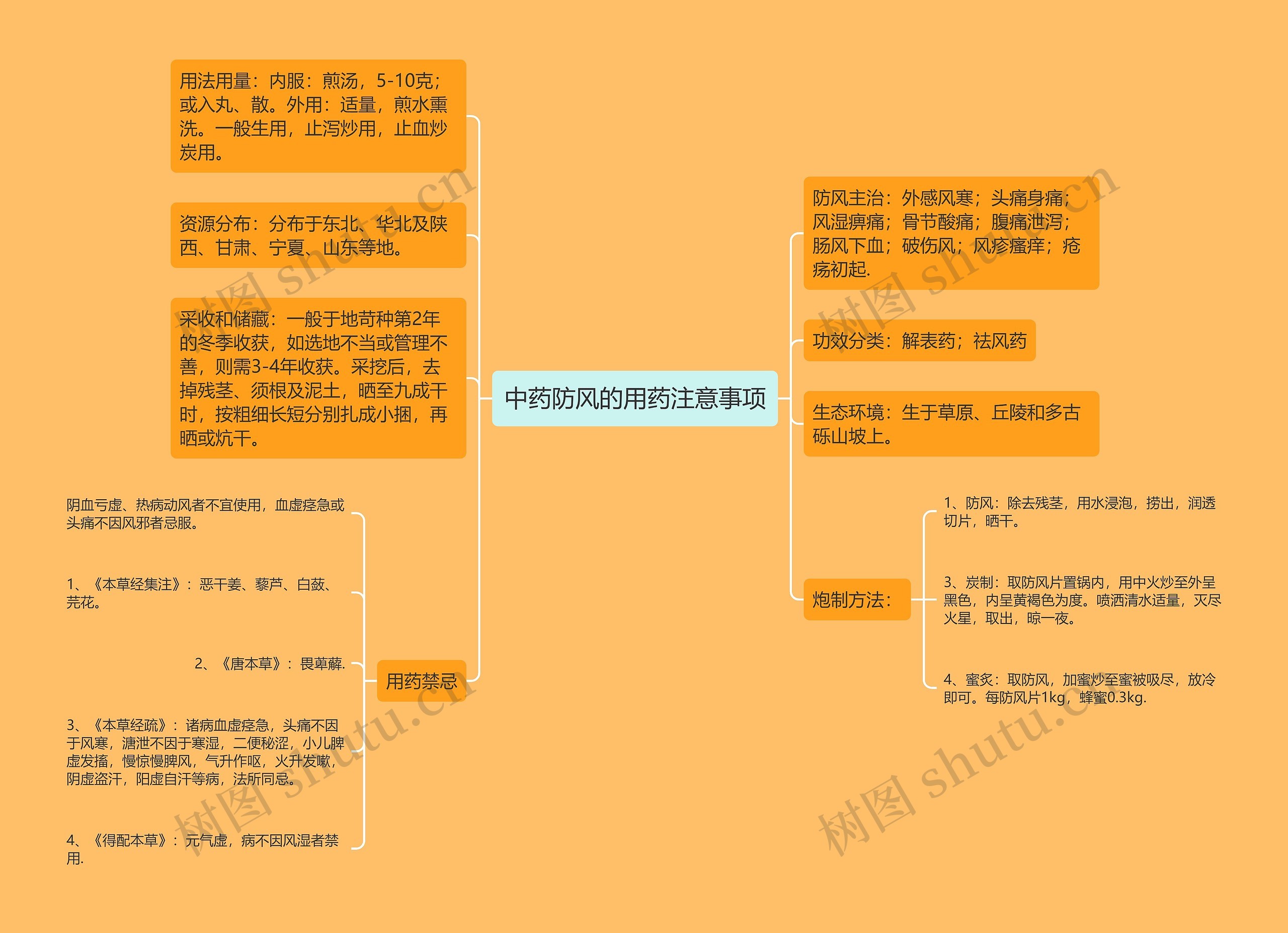 中药防风的用药注意事项思维导图