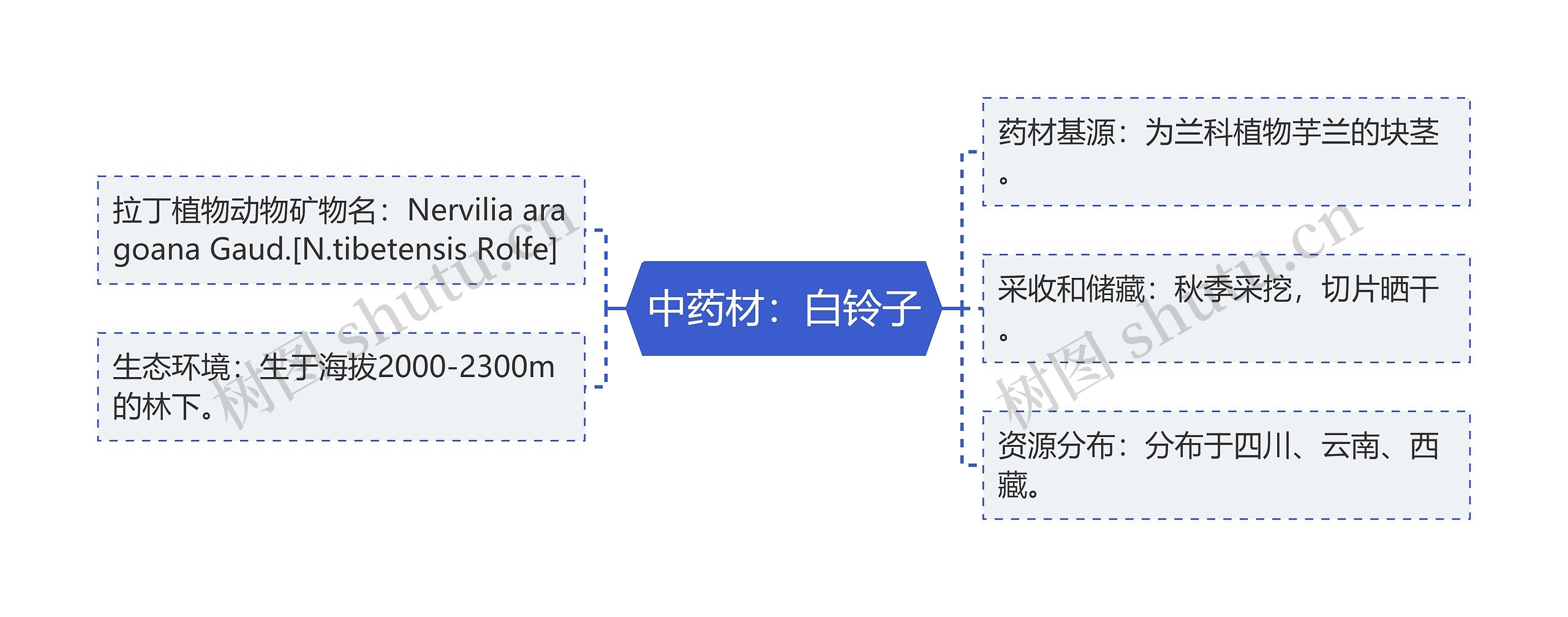 中药材：白铃子