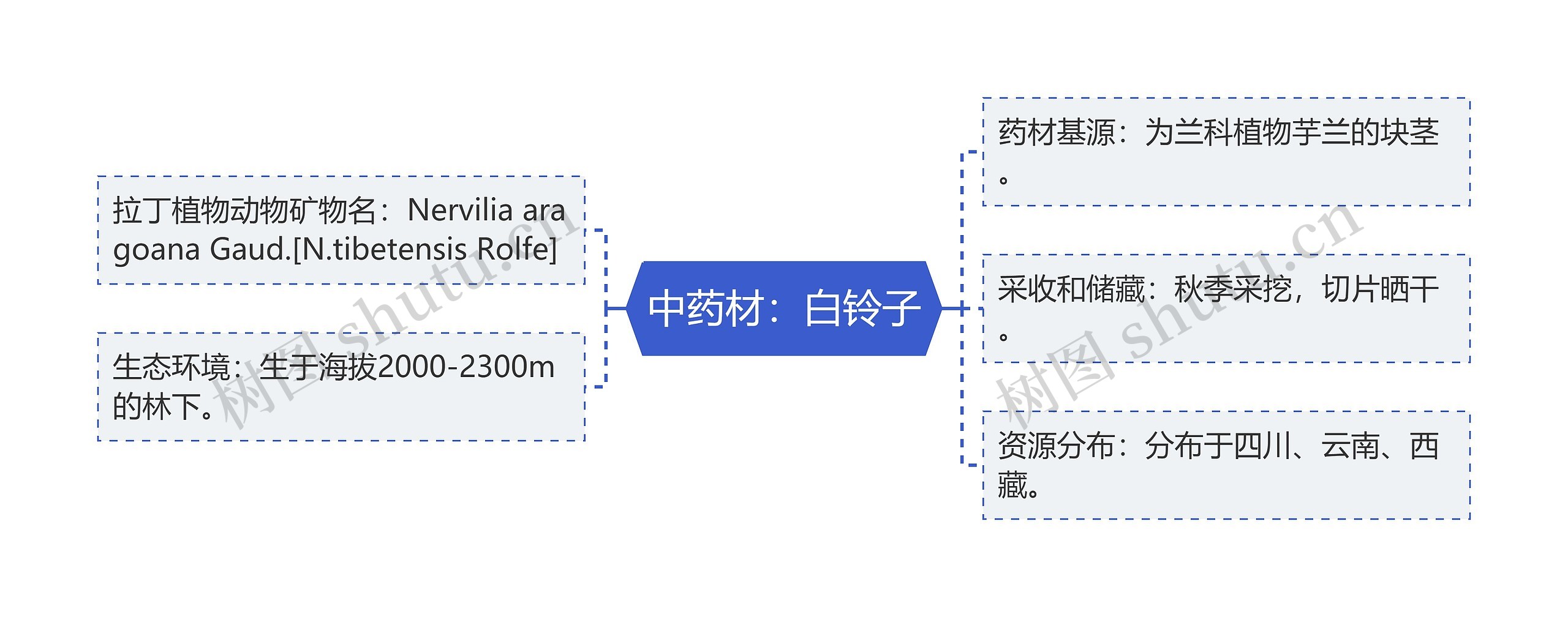 中药材：白铃子思维导图