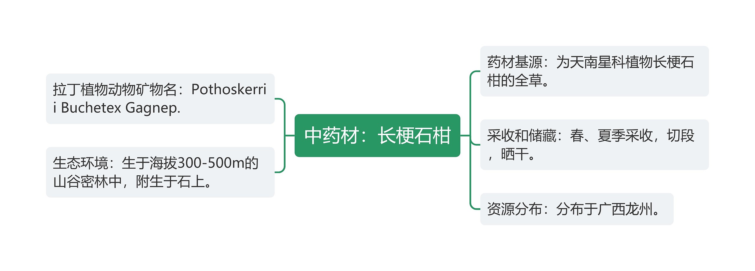 中药材：长梗石柑