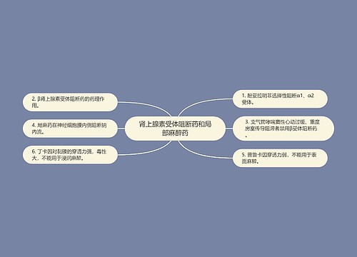 肾上腺素受体阻断药和局部麻醉药