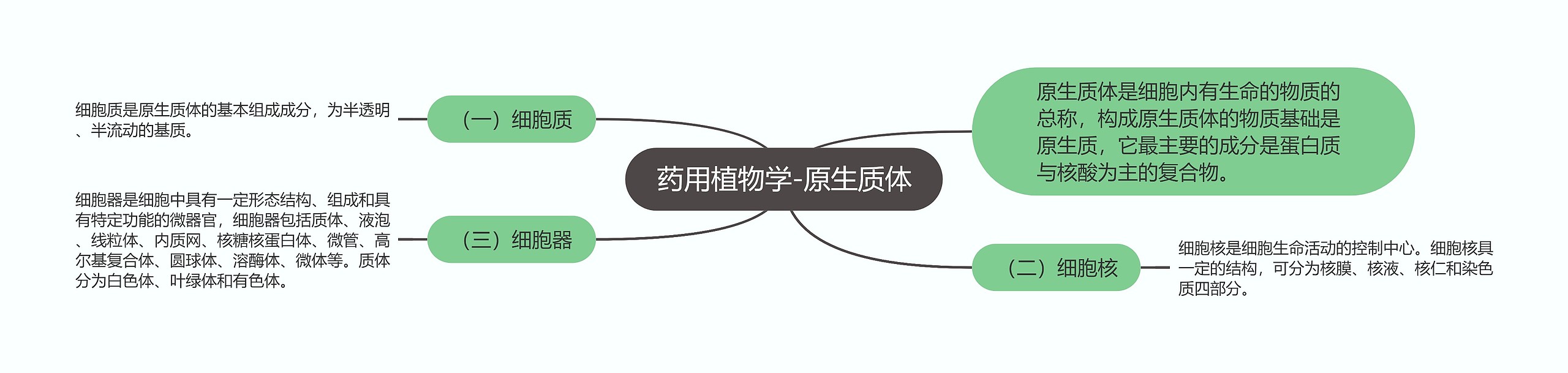 药用植物学-原生质体 药用植物学-原生质体