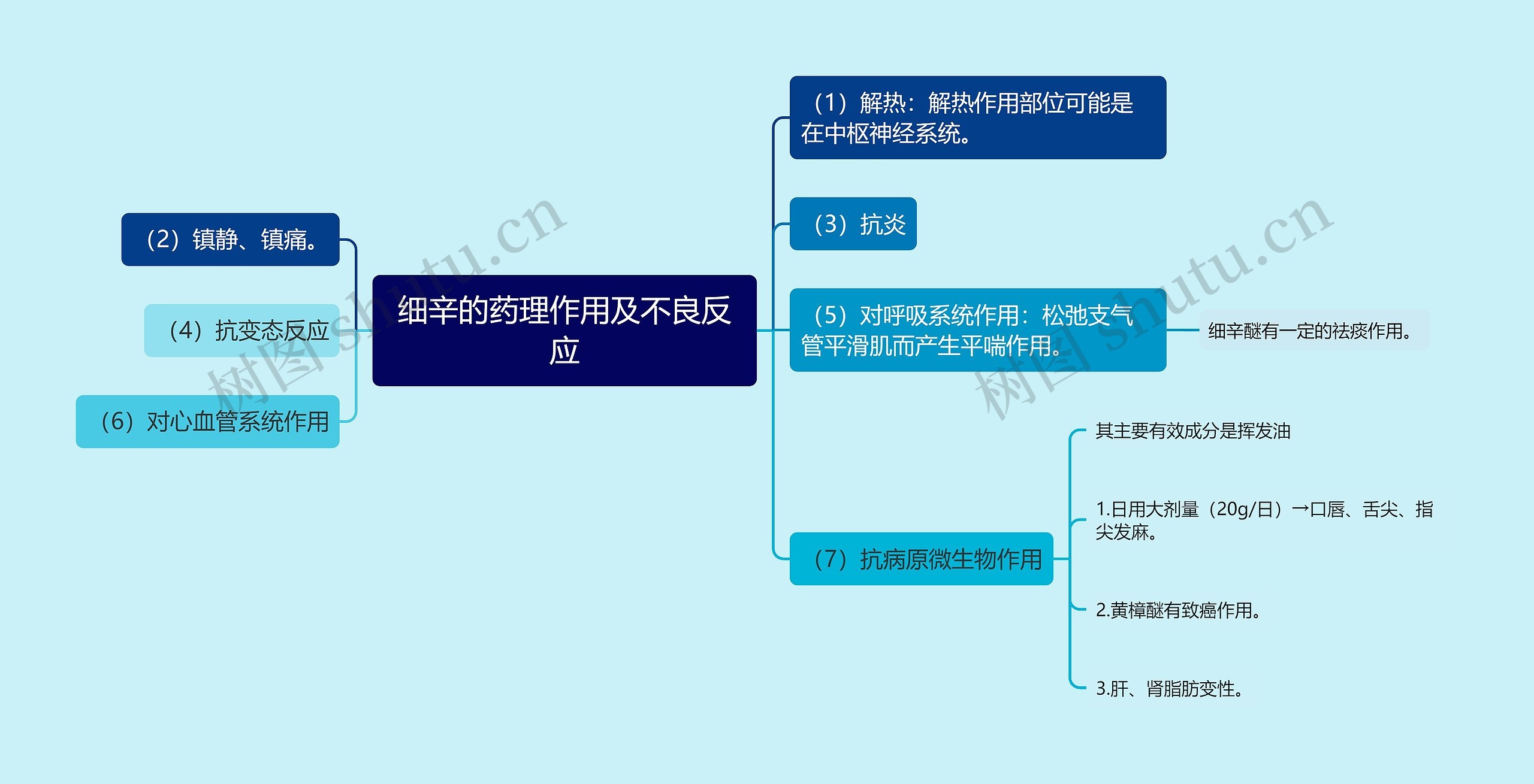 细辛的药理作用及不良反应思维导图