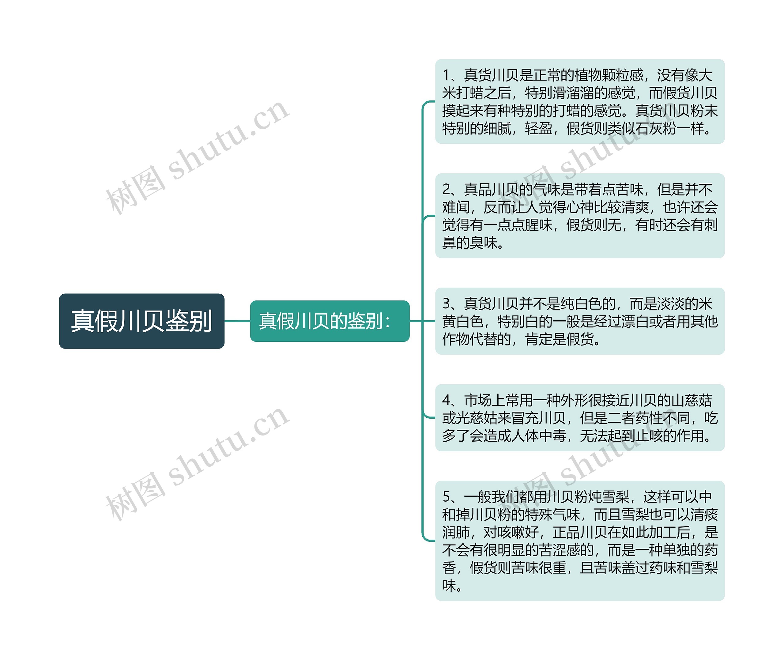 真假川贝鉴别思维导图