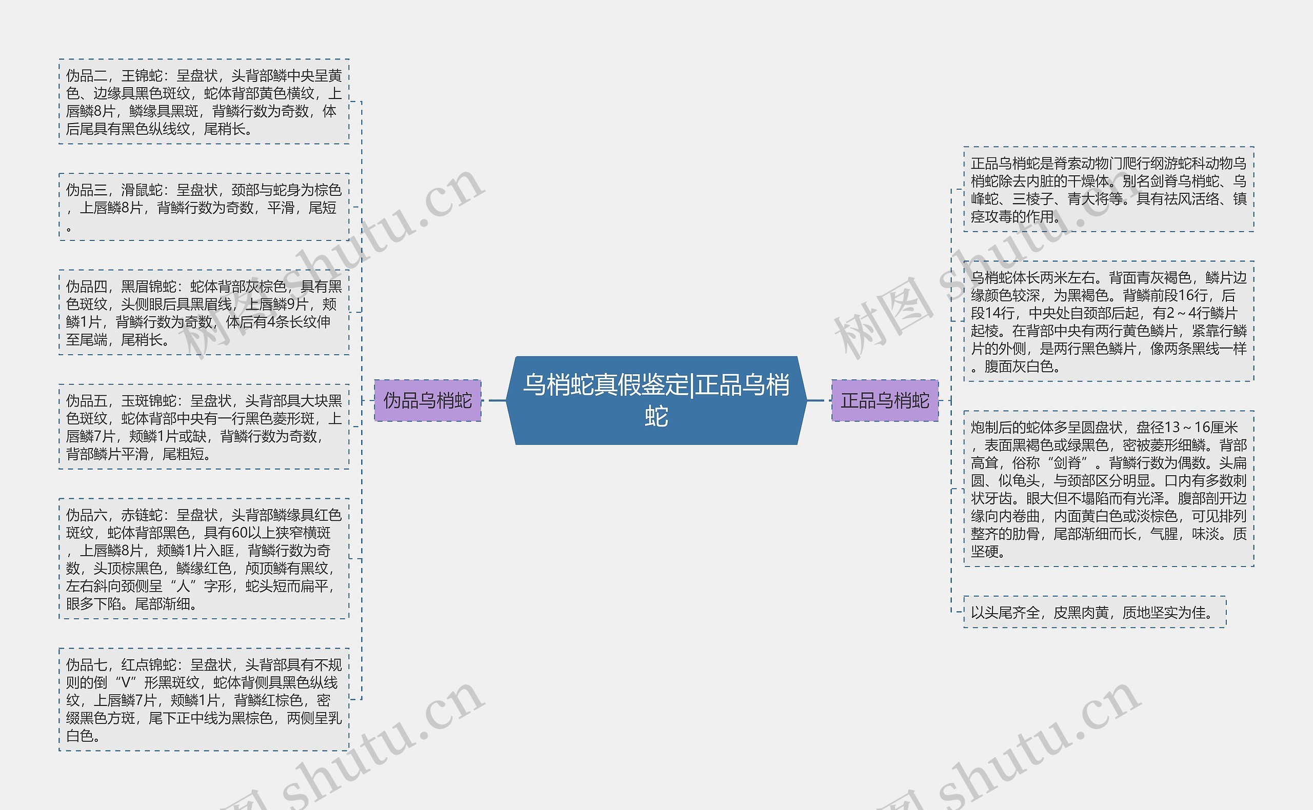 乌梢蛇真假鉴定|正品乌梢蛇