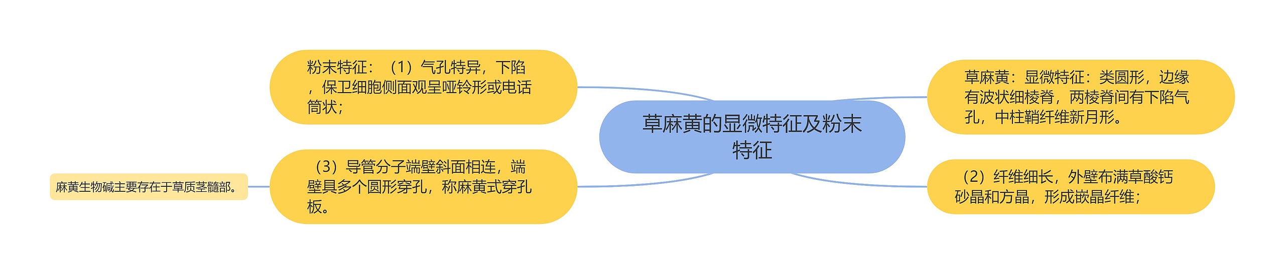 草麻黄的显微特征及粉末特征思维导图