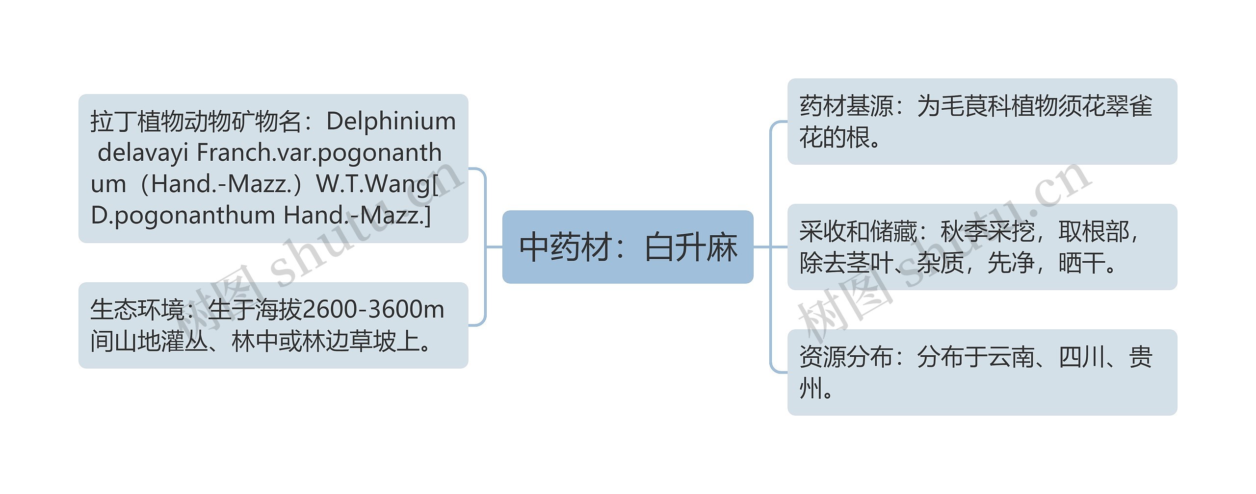 中药材：白升麻思维导图