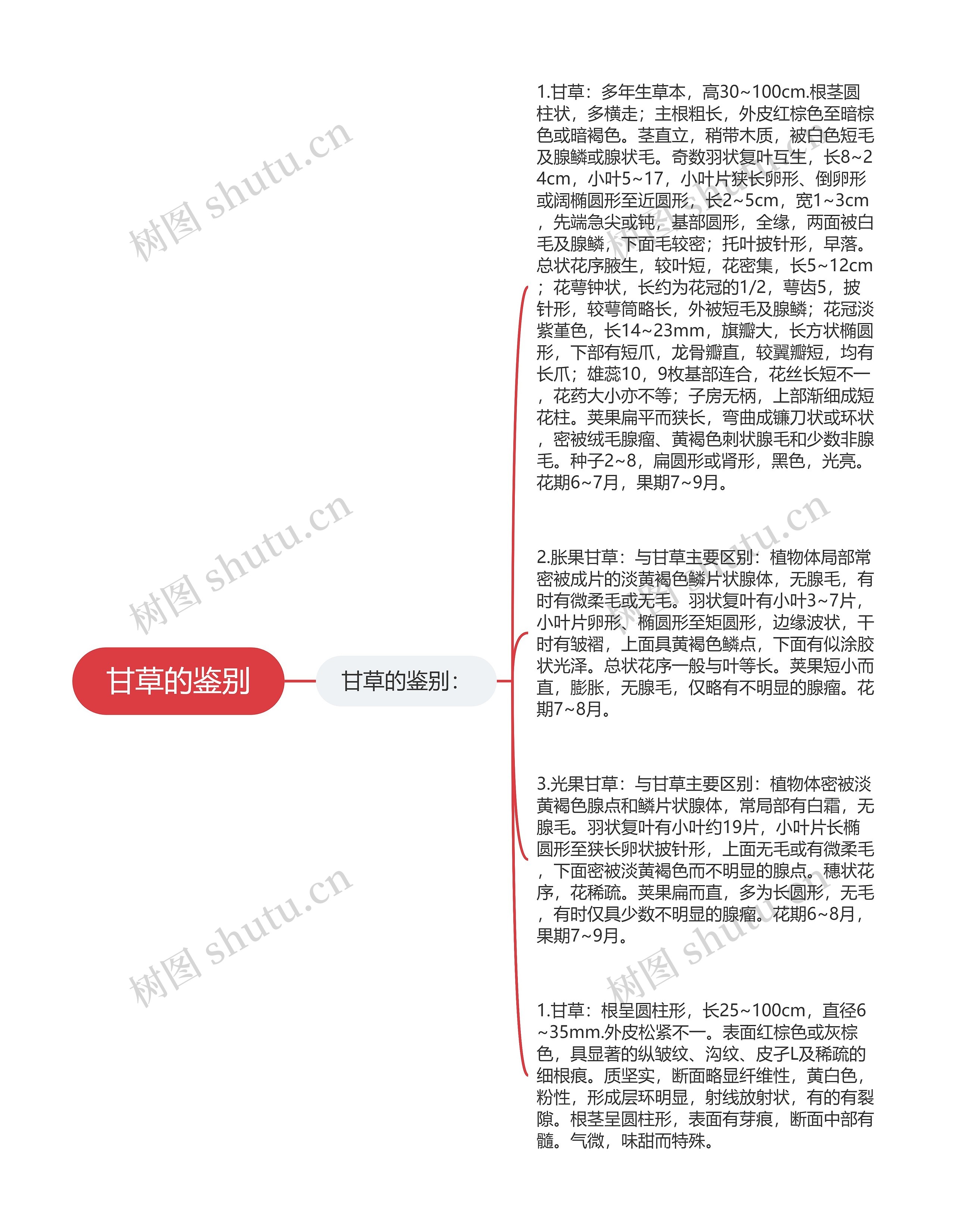 甘草的鉴别