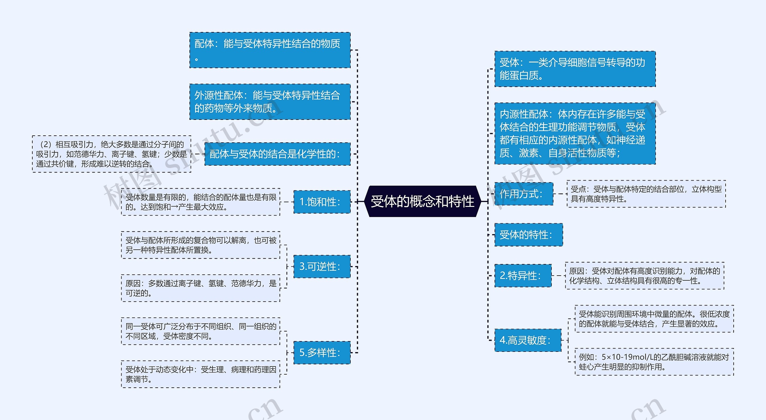 受体的概念和特性思维导图