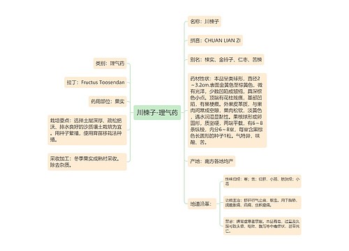 川楝子-理气药思维导图