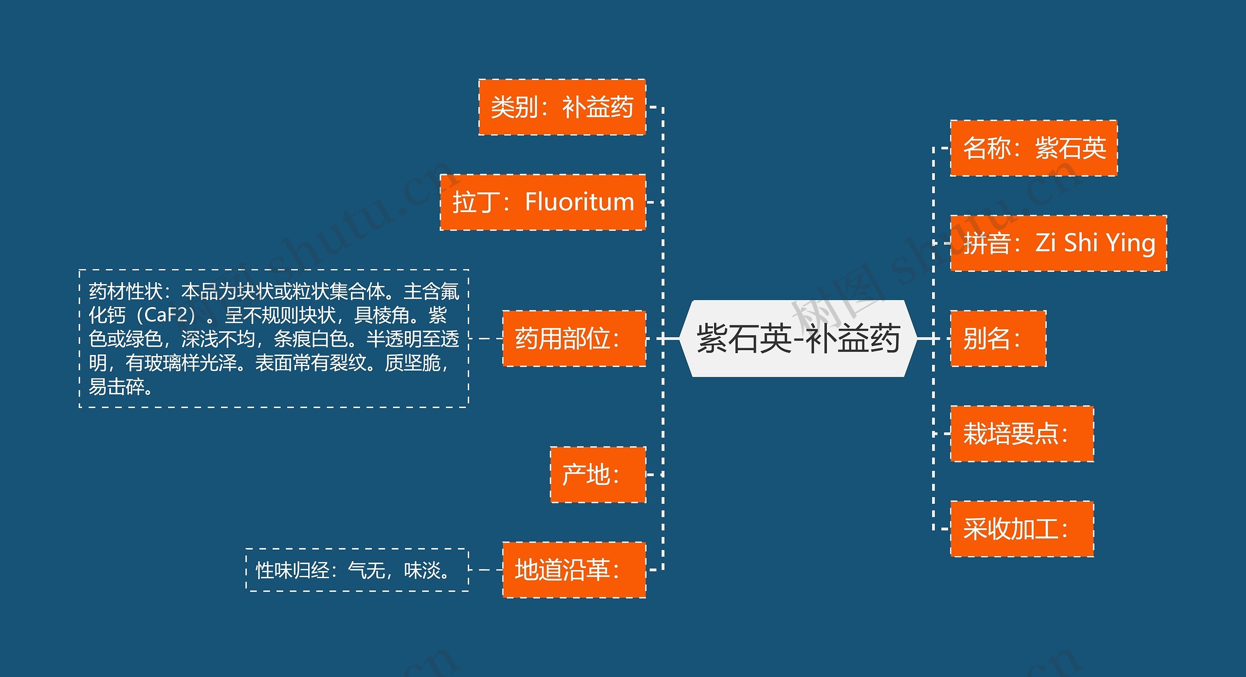 紫石英-补益药思维导图