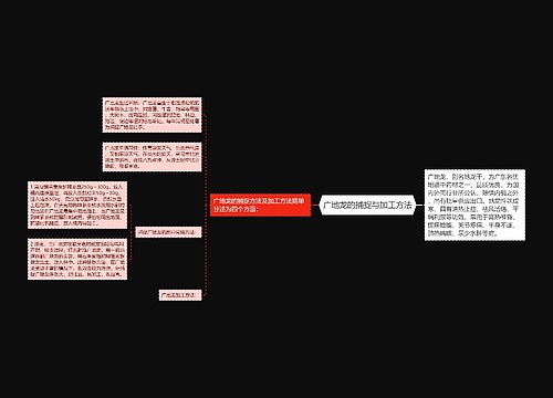 广地龙的捕捉与加工方法