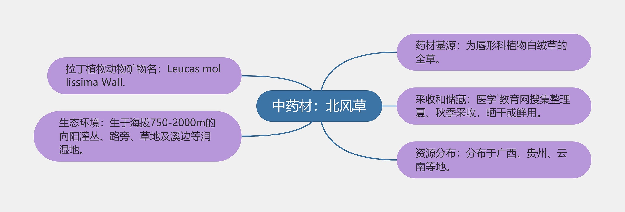 中药材：北风草思维导图