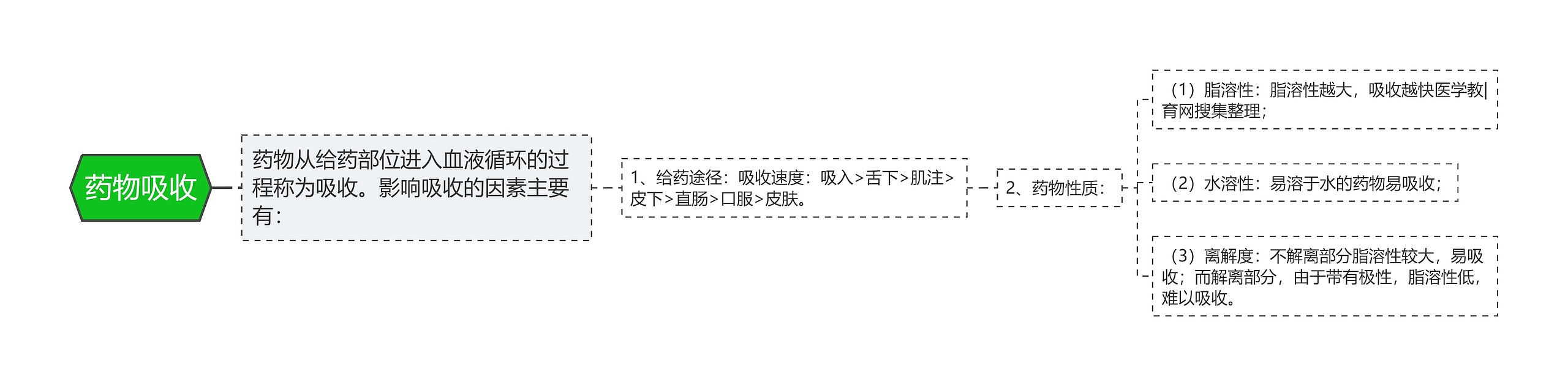 药物吸收思维导图