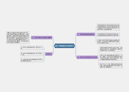 医疗损害鉴定由谁委托